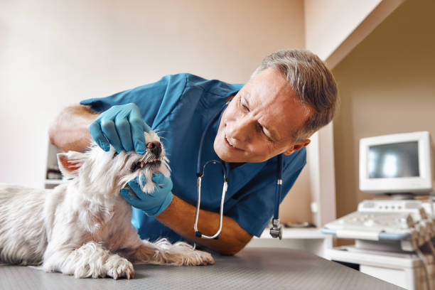 Best Emergency Wisdom Teeth Removal in Hillsdale, NJ